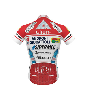 Maillot 2020 ANDRONI GIOCATTOLI SIDERMEC
