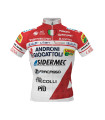 Maillot 2020 ANDRONI GIOCATTOLI SIDERMEC